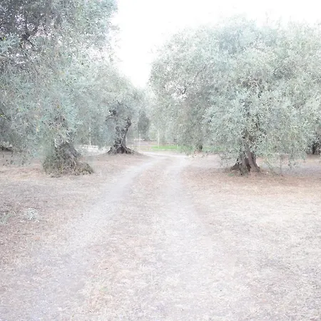 κτήμα παπαδημητρίου, Papadimitriou Retreat Holiday home *