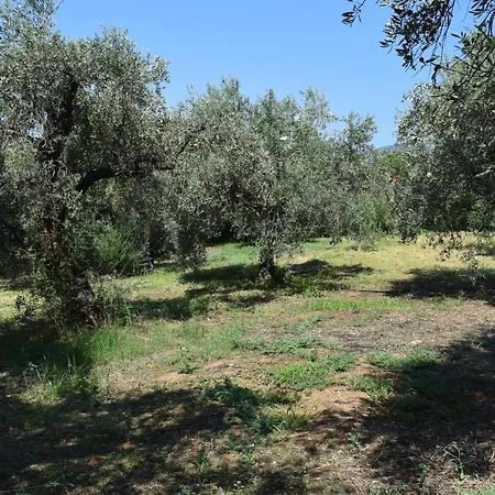 κτήμα παπαδημητρίου, Papadimitriou Retreat Holiday home Ano Lekhonia