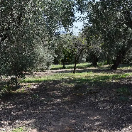 κτήμα παπαδημητρίου, Papadimitriou Retreat