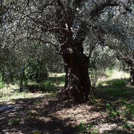 κτήμα παπαδημητρίου, Papadimitriou Retreat Holiday home Ano Lekhonia