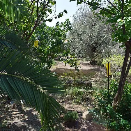 κτήμα παπαδημητρίου, Papadimitriou Retreat Holiday home *