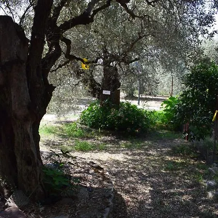 Holiday home κτήμα παπαδημητρίου, Papadimitriou Retreat