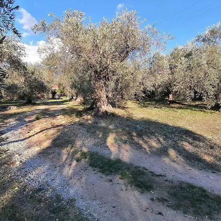 κτήμα παπαδημητρίου, Papadimitriou Retreat Ano Lekhonia