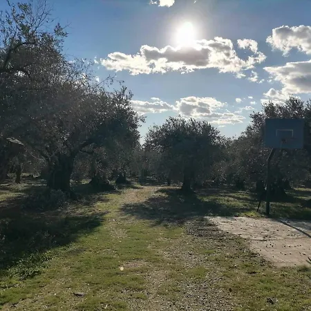 Holiday home κτήμα παπαδημητρίου, Papadimitriou Retreat *
