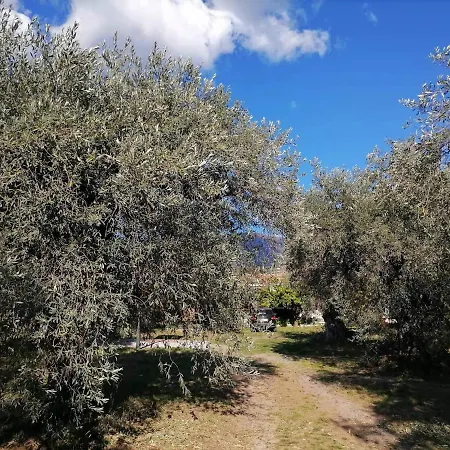 Holiday home κτήμα παπαδημητρίου, Papadimitriou Retreat Ano Lekhonia