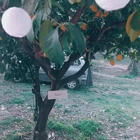 κτήμα παπαδημητρίου, Papadimitriou Retreat * Ano Lekhonia