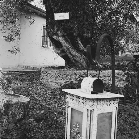 Holiday home κτήμα παπαδημητρίου, Papadimitriou Retreat