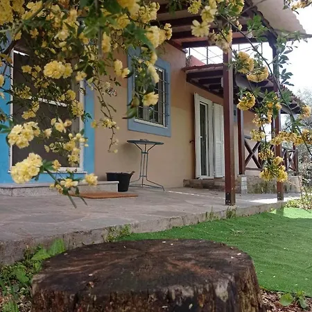 κτήμα παπαδημητρίου, Papadimitriou Retreat Holiday home