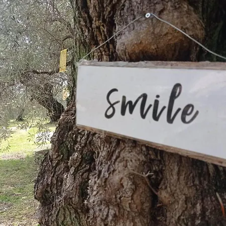 κτήμα παπαδημητρίου, Papadimitriou Retreat Holiday home