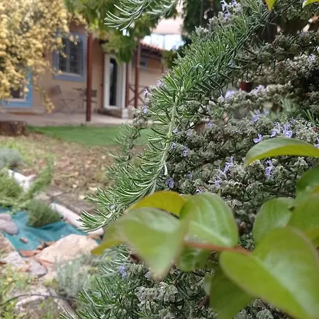 Holiday home κτήμα παπαδημητρίου, Papadimitriou Retreat Ano Lekhonia